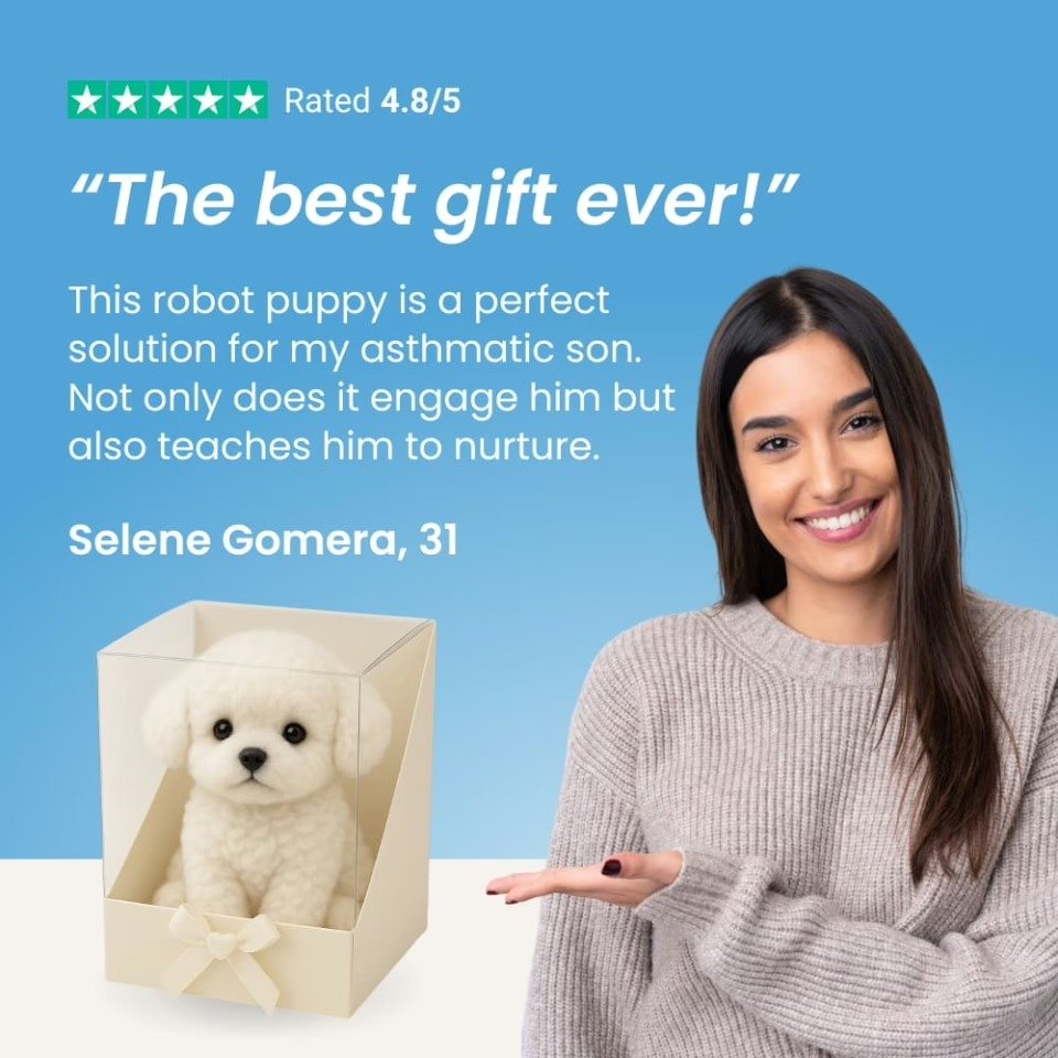 Wuffy Robot Dog Play